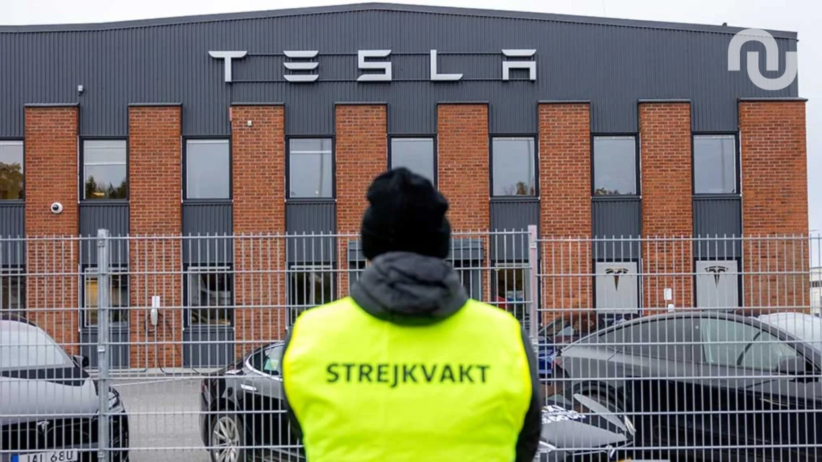 Tesla en Suède : Crise écologique et tensions sociales - Tesla en Suède